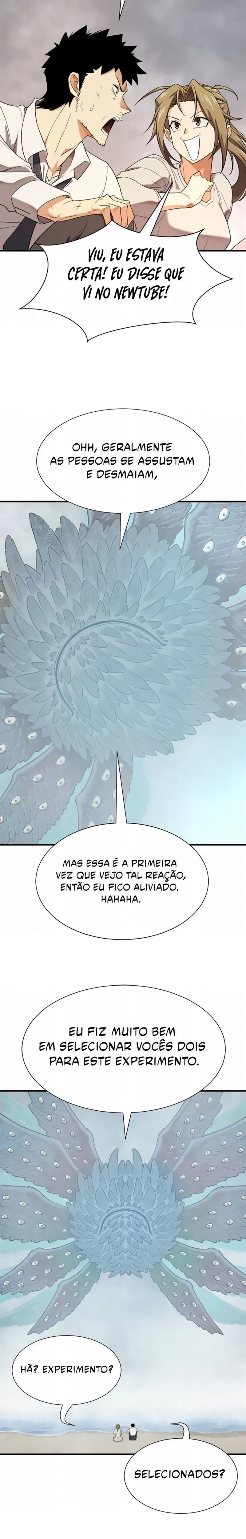 O Melhor Engenheiro Do Mundo Capítulo 219 - página 13