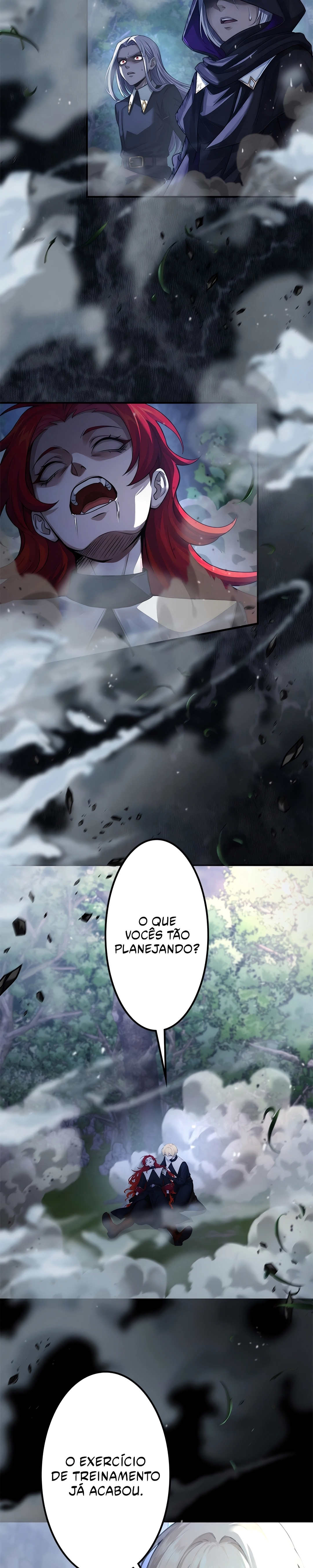 O Santo da Espada Reencarnou em uma Família Nobre de Magos Capítulo 014 - página 13